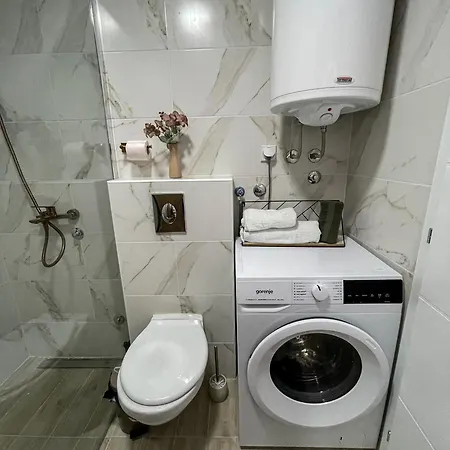 Zlatkovic Family * Pirot